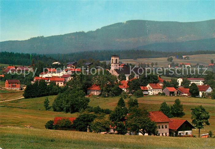 Neureichenau Panorama