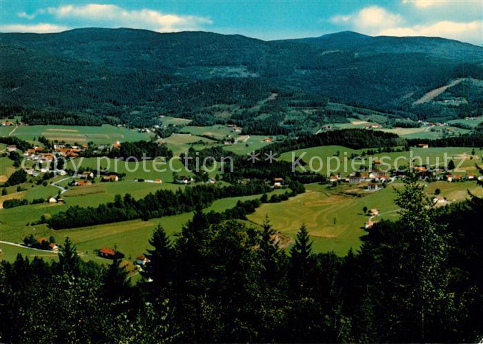 Oberried Bischofsmais Fliegeraufnahme