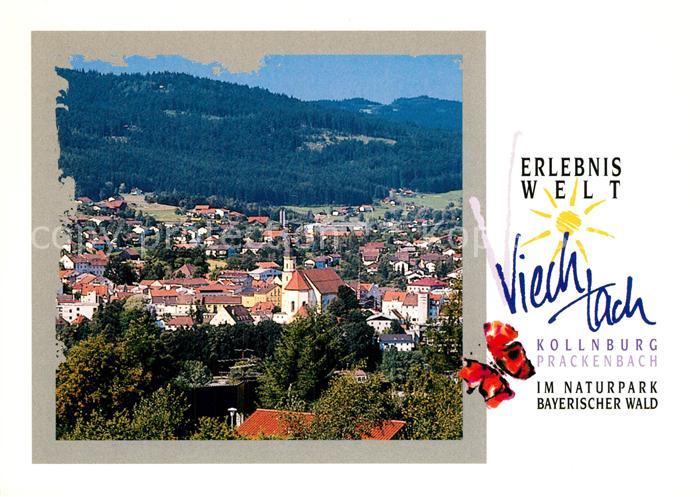 Viechtach Bayerischer Wald Panorama