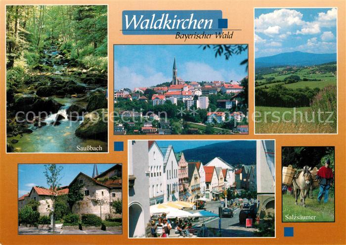 Waldkirchen Niederbayern Saussbach Salzsaeumer Marktplatz Panoramen