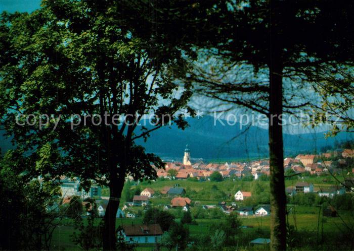 Waldmuenchen Panorama