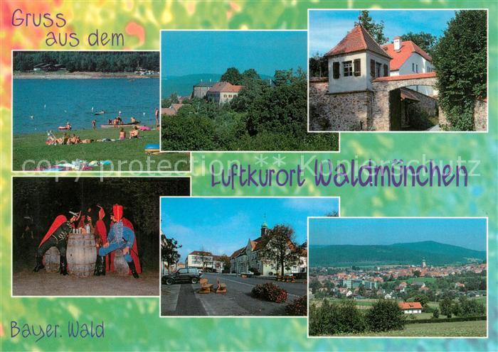 Waldmuenchen Liegewiese Panorama Volkstheater