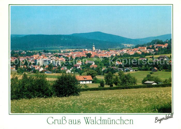 Waldmuenchen Panorama
