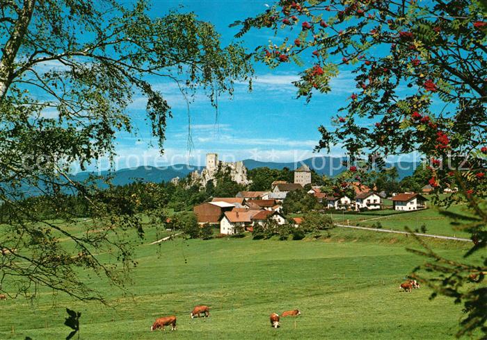 Weissenstein Regen Grosser Pfahl Burgruine