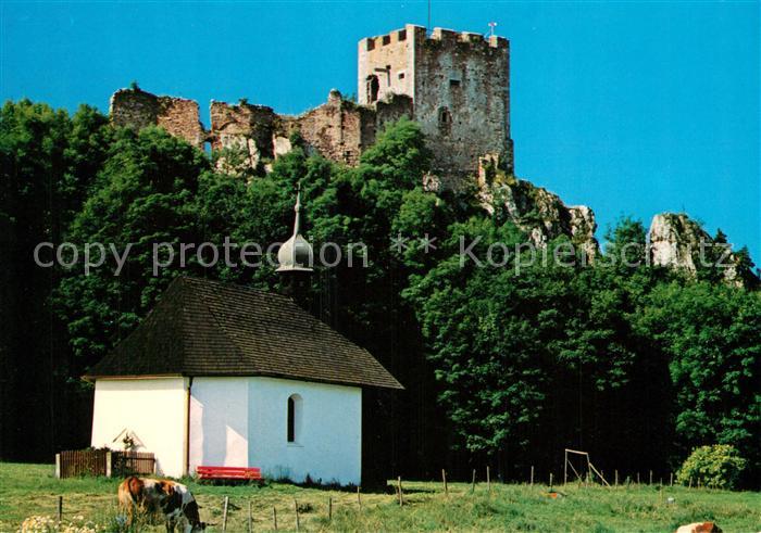 Regen Burgruine Weissenstein