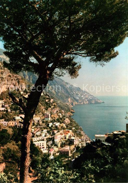 Positano Panorama Pino