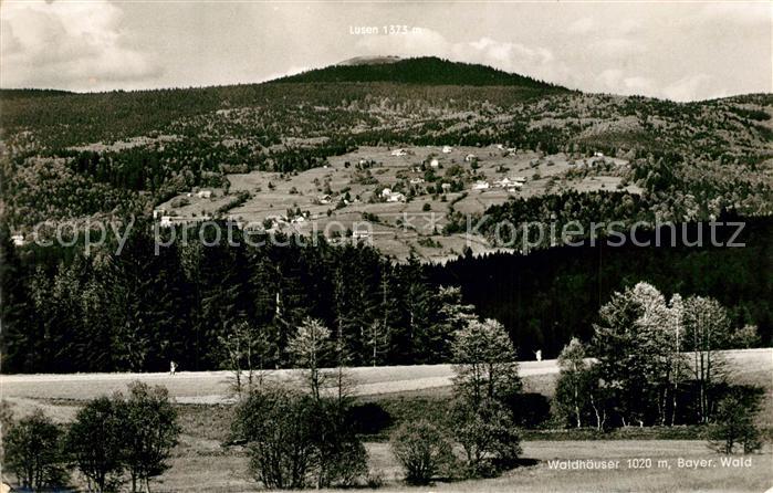 Waldhaeuser Neuschoenau Panorama