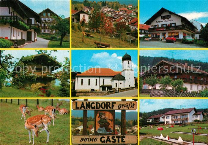 Langdorf Spiegelau Kirche Pension Arlinger Minigolfplatz Damwildgehege