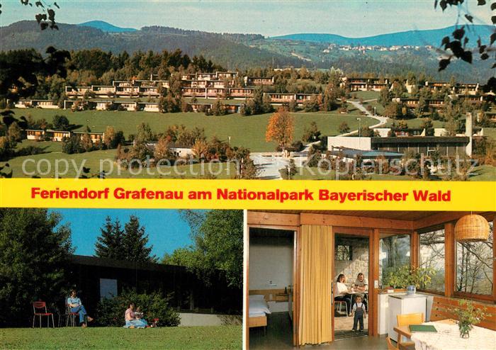 Grafenau Niederbayern Panorama Pension
