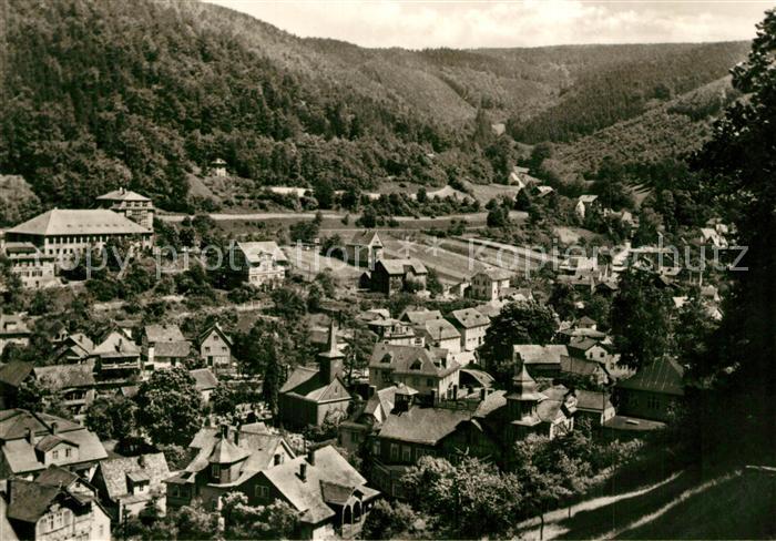 Schwarzburg Thueringer Wald Panorama