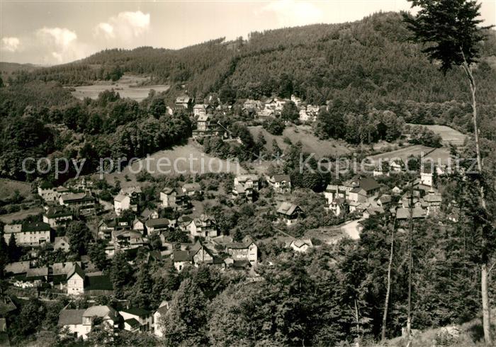 Schwarzburg Thueringer Wald Panorama