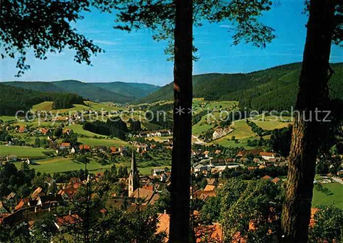 Baiersbronn Schwarzwald Panorama