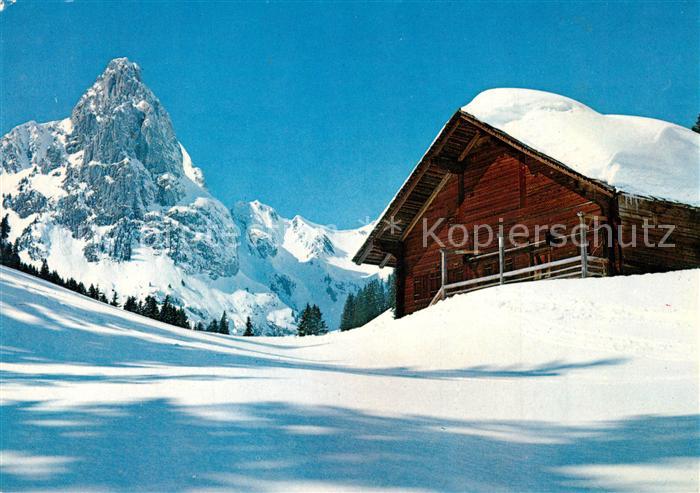 Zelzate Winterlandschaft