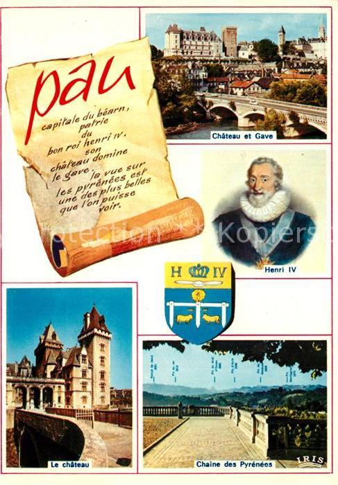 Pau 64 Chateau Gave Henri IV Chaine des Pyrene