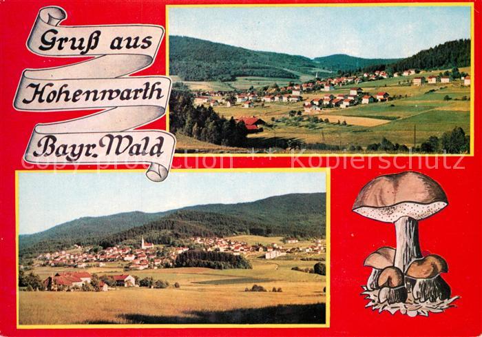 Hohenwarth Koetzting Panoramen