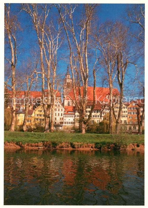 Tuebingen Platanenallee