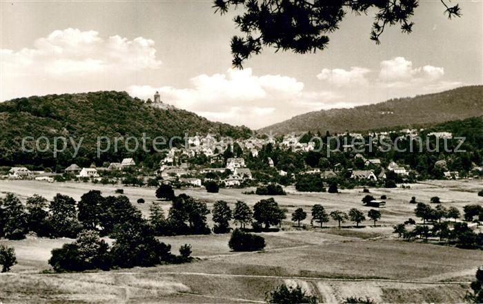 Falkenstein Taunus Panorama