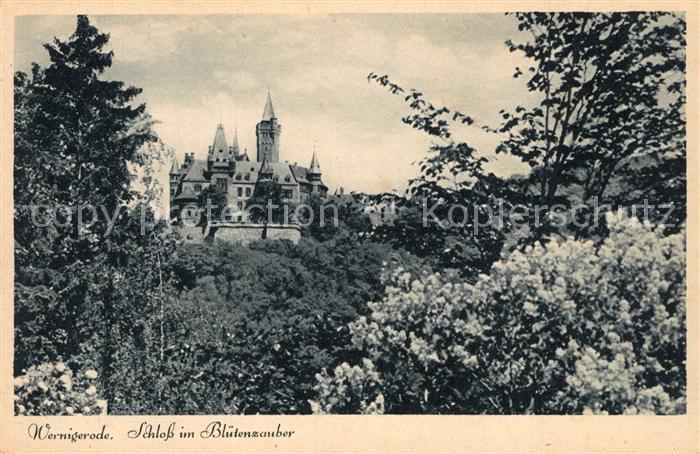 Wernigerode Harz Schloss im Bluetenzauber