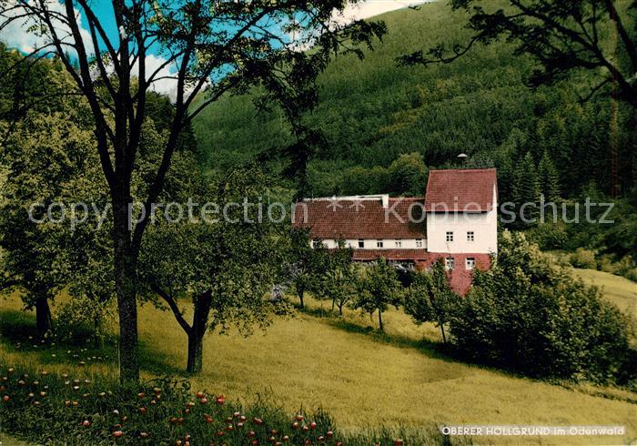 Odenwald Oberer Hoellgrund