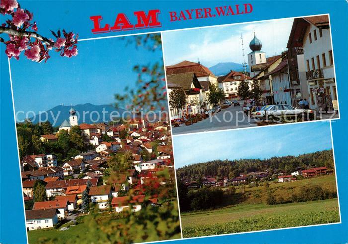 Lam Oberpfalz Panorama Teilansichten