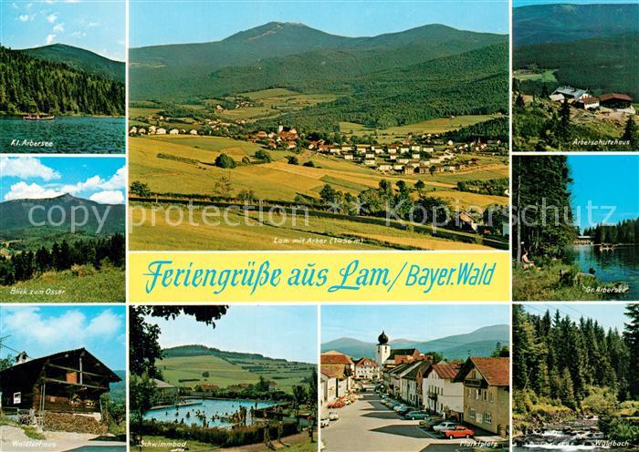Lam Oberpfalz Kl Arbersee Panorama mit Arber Arbeiterschutzhaus Schwimmbad Haupt