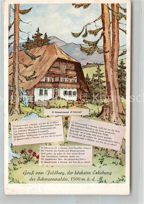 Feldberg Schwarzwald Schwarzwaldhaus