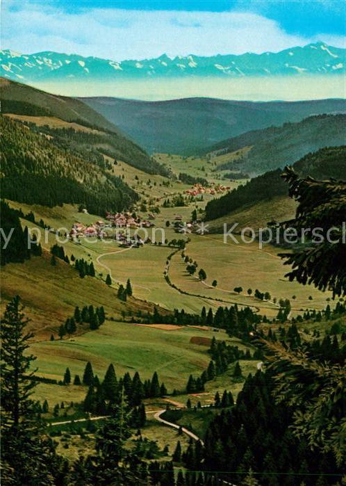 Feldberg Schwarzwald Menzenschwander Tal