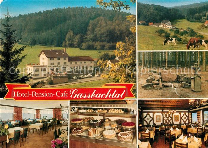 Gras-Ellenbach Hotel Gassbachtal