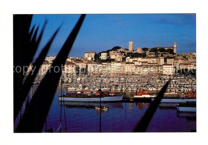 Cannes Alpes-Maritimes Stempel Philatelie de Cannes Principal