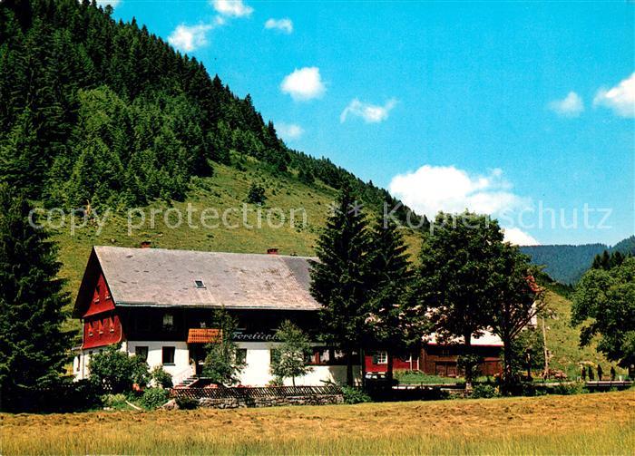 Menzenschwand Gasthaus-Pension Forellenhof