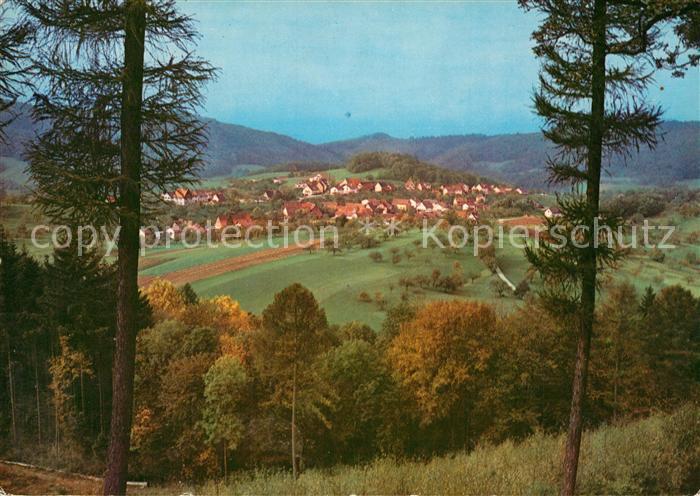 Rippenweier Panorama