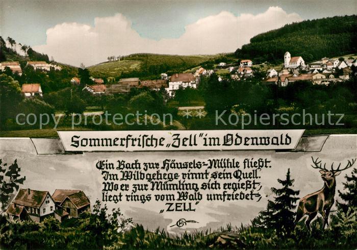 Zell Odenwald Panorama