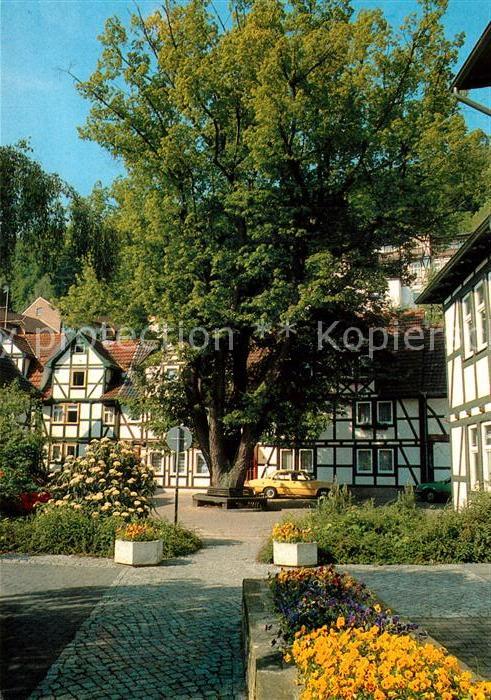 Bad Sooden-Allendorf Am Steinborn