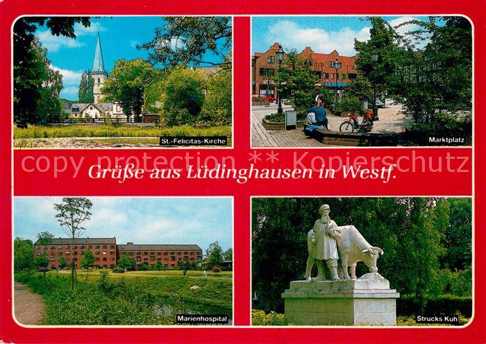 Luedinghausen St Felicitas Kirche Marktplatz Marienhospital Strucks Kuh