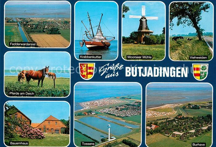 Butjadingen Fedderwardersiel Krabbenkutter Moorseer Muehle Viehweiden Pferde am