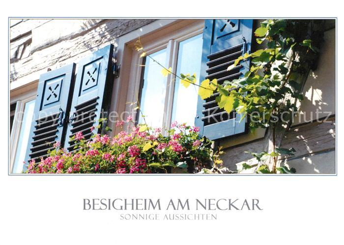 Besigheim Teilansicht