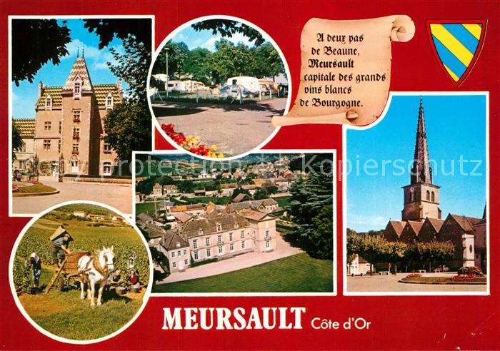 Meursault Hotel de Ville Le camping Scenes de vendanges vue aerienne Eglise Sain