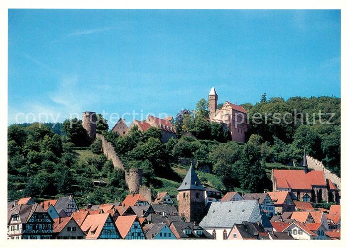 Hirschhorn Neckar Stadtblick mit Schloss