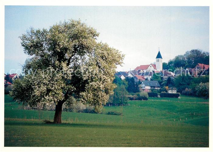 Otzberg Odenwald Teilansicht
