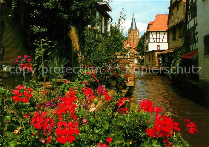Wissembourg La petite Venise Le Schlupf