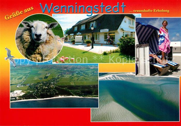 Wenningstedt Sylt Fliegeraufnahme Strand Schaf
