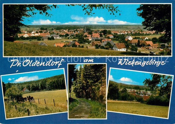 Oldendorf Celle Wiehengebirge Pferde