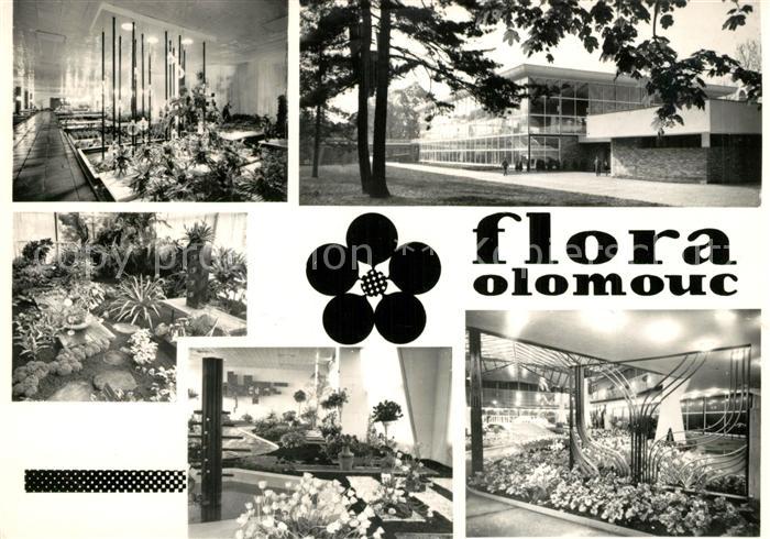 Olomouc flora