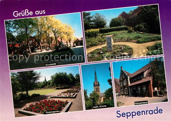 Seppenrade Kirchplatz Baumgarten Gaenseliesel Kirche