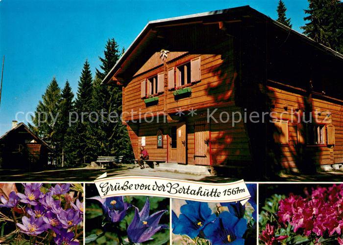 Karawanken Slowenien Bertahuette Mittagskogel