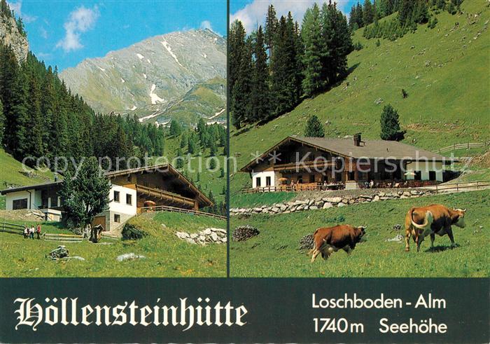 Lanersbach Hoellensteinhuette Alm Kuehe