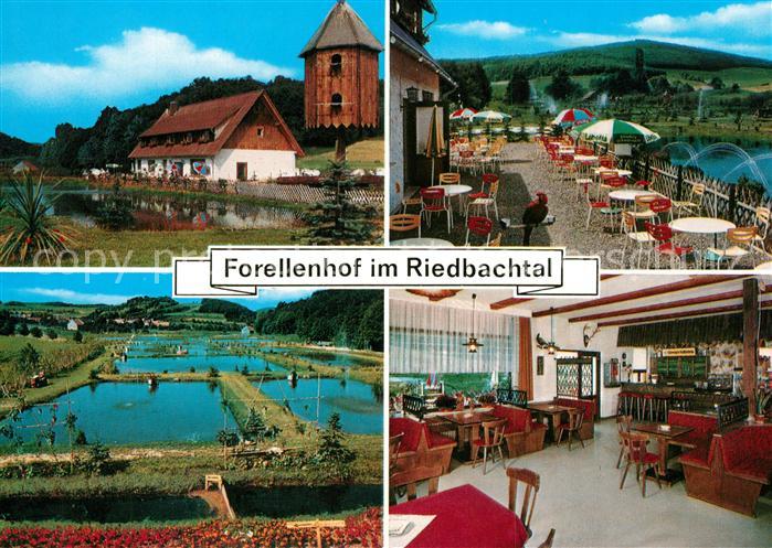 Hilgershausen Witzenhausen Forellenhof im Riedbachtal Terrasse Gastraum Forellen