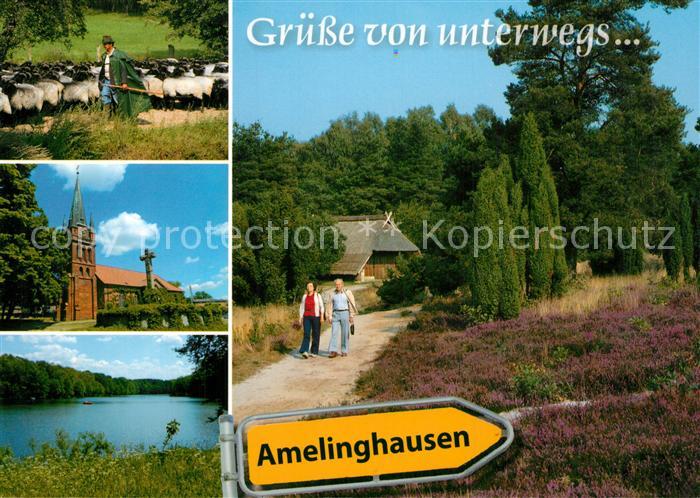 Amelinghausen Lueneburger Heide Schafherde Kiche See Wandern Heidelandschaft Ort