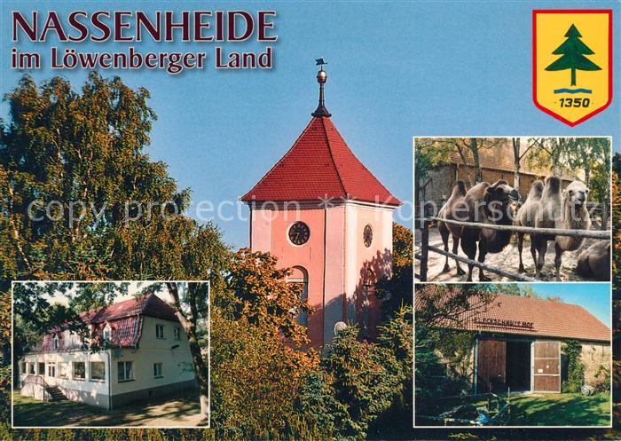 Nassenheide Dorfkirche Kamele Fleckschnupphof Kindergaestehaus der GFJ