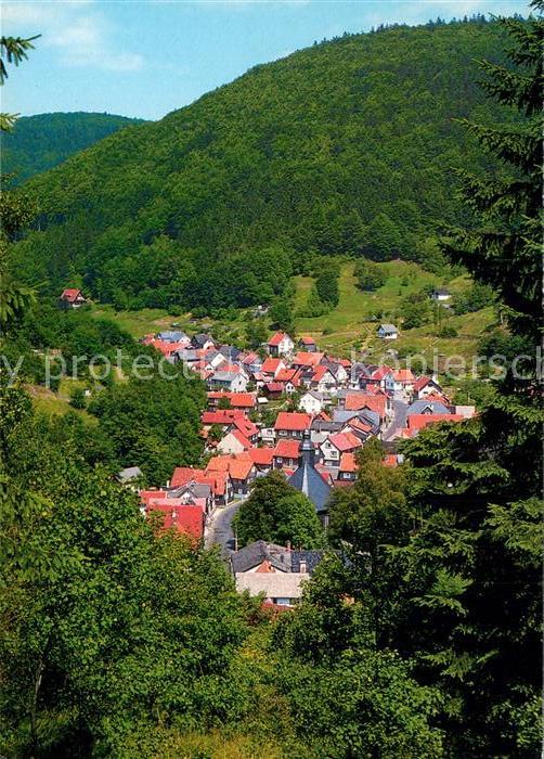 Giessuebel Schleusegrund Panorama Blick vom Holzberg